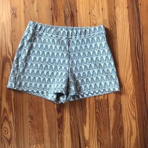 Zara Shorts- size small